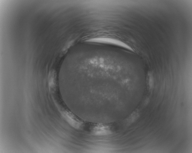 X0000082200760200701270118