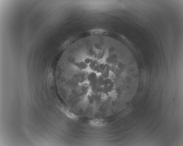 X0000082200761200701270118