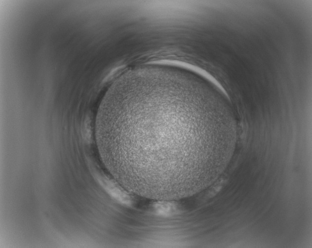 X0000082200762200701270118