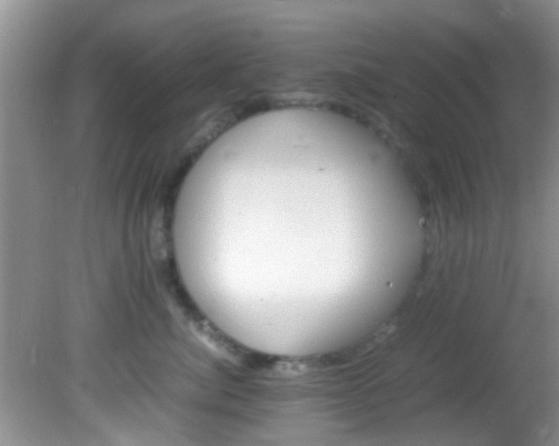 X0000082200764200701270118