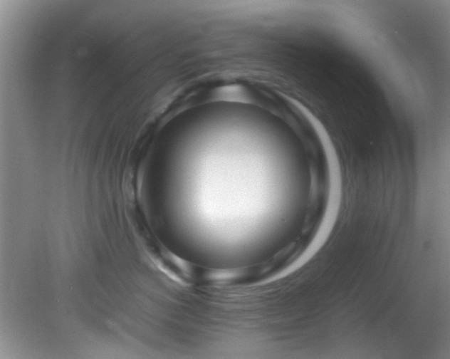 X0000082200766200701270118