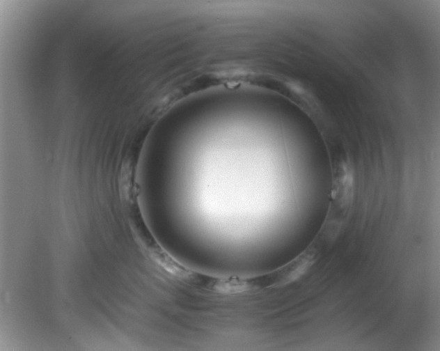 X0000082200767200701270118