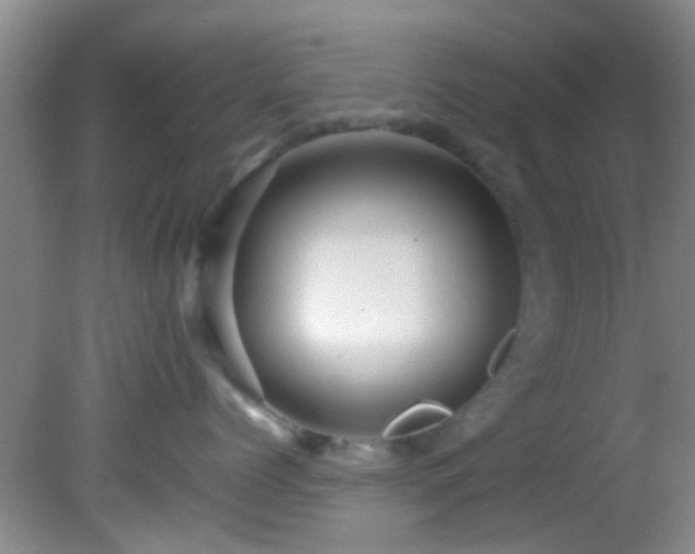 X0000082200768200701270118