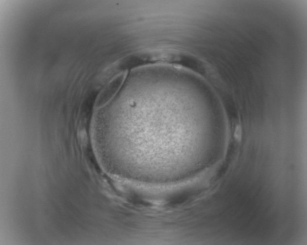 X0000082200771200701270117