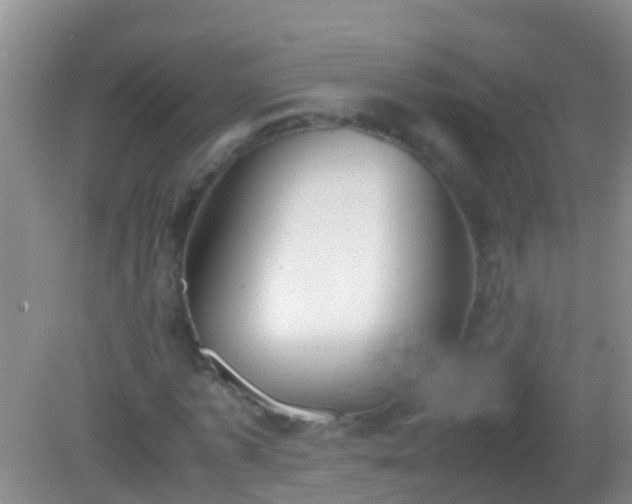 X0000082200773200701270117