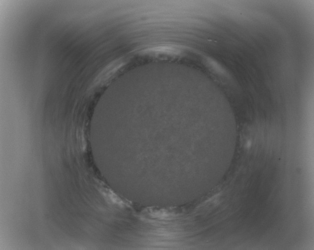 X0000082200774200701270117