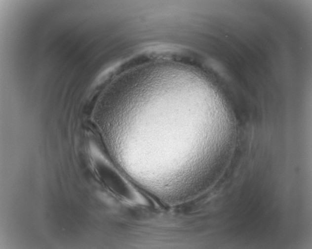 X0000082200775200701270117