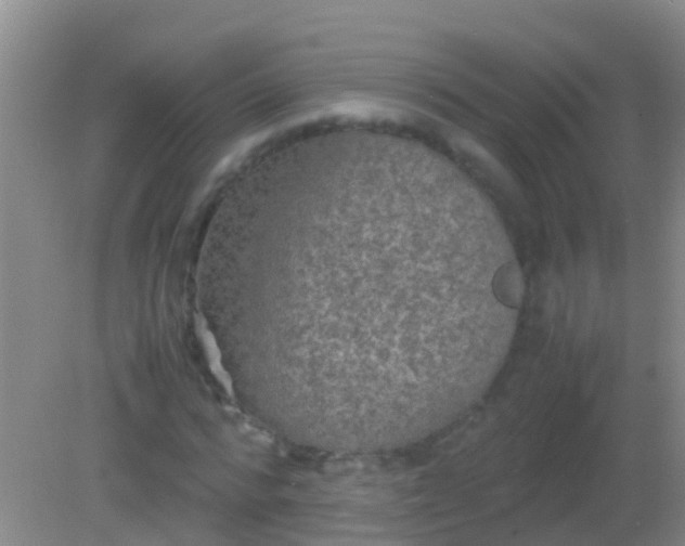 X0000082200776200701270117