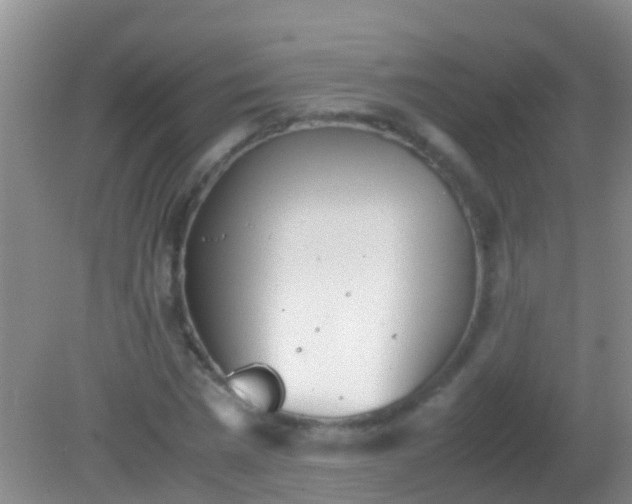 X0000082200777200701270117