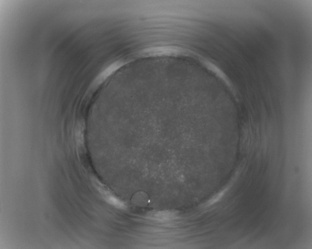 X0000082200778200701270117