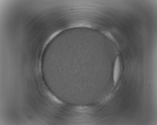 X0000082200780200701270117