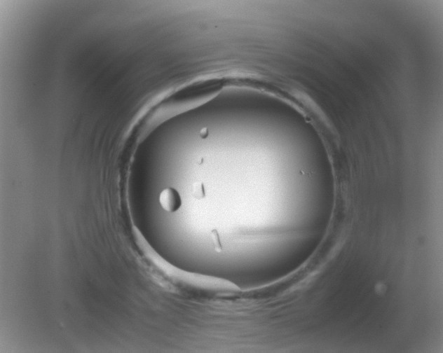 X0000082200781200701270117