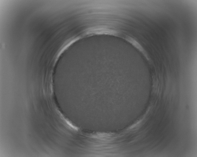 X0000082200782200701270117