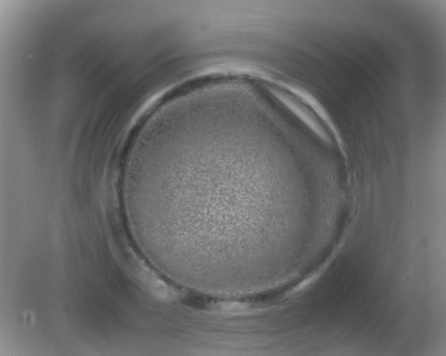 X0000082200783200701270117