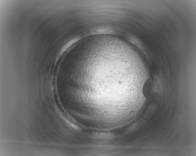 X0000082200786200701270117