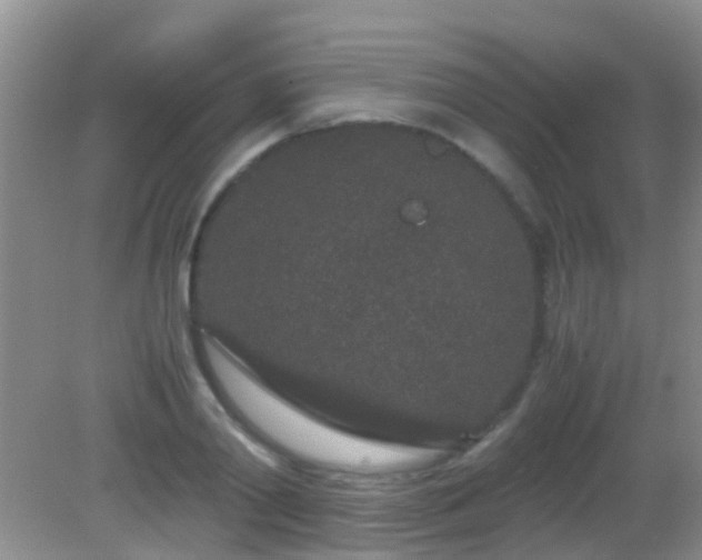 X0000082200790200701270117