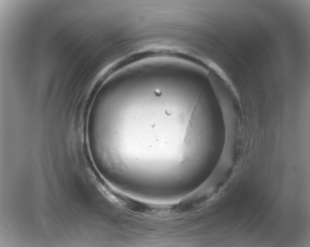 X0000082200791200701270117