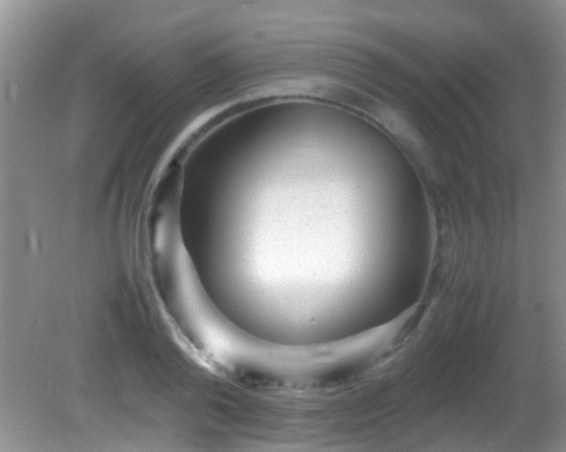 X0000082200792200701270117