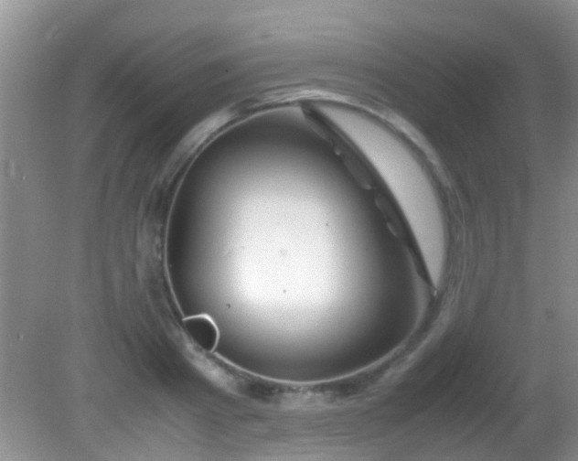 X0000082200793200701270117