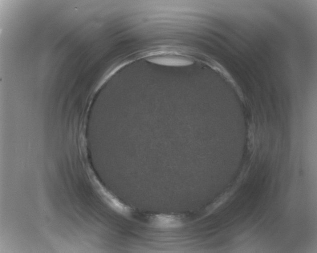 X0000082200794200701270117