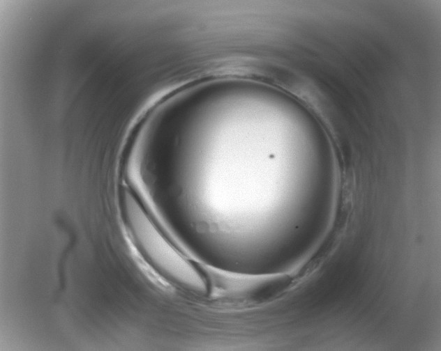 X0000082200795200701270117