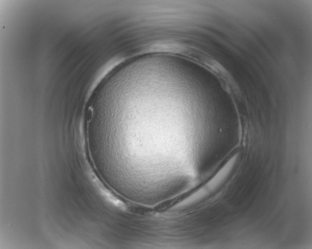 X0000082200796200701270117