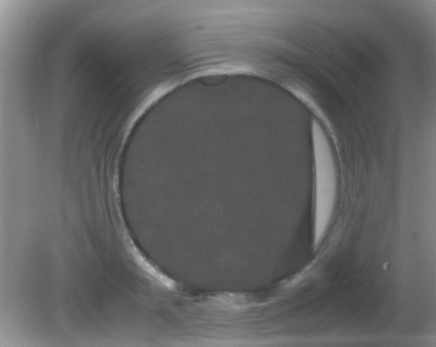 X0000082200797200701270117