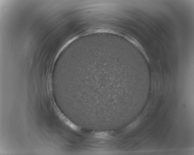 X0000082200798200701270117