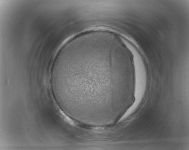 X0000082200799200701270117