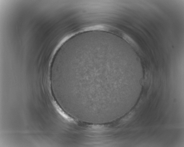 X0000082200800200701270117