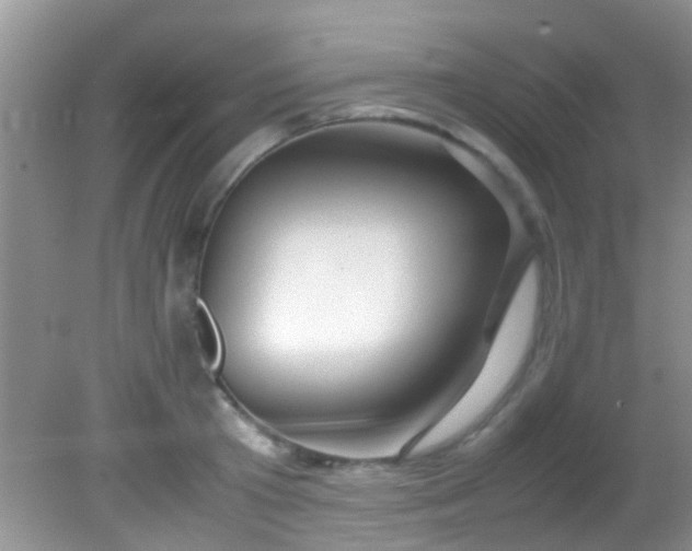 X0000082200801200701270117