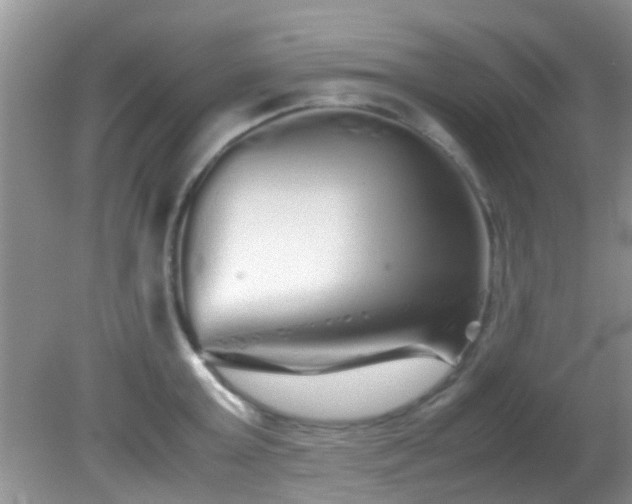 X0000082200803200701270117