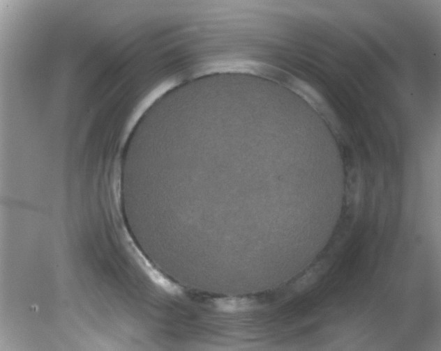 X0000082200804200701270117