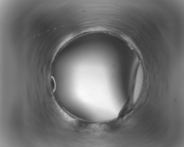 X0000082200805200701270117