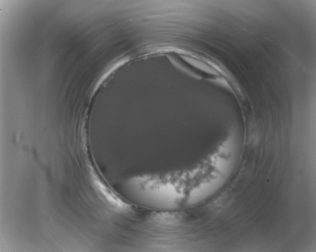 X0000082200806200701270117