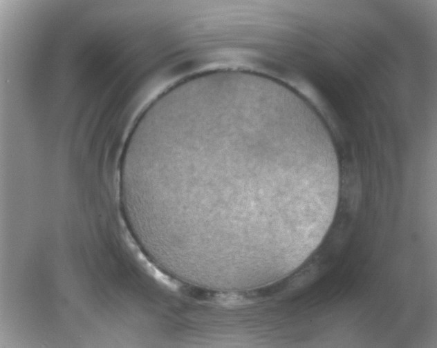 X0000082200807200701270117