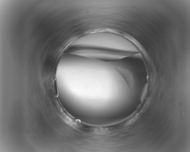 X0000082200809200701270116