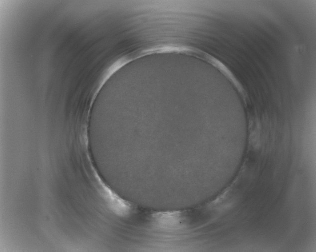 X0000082200810200701270116