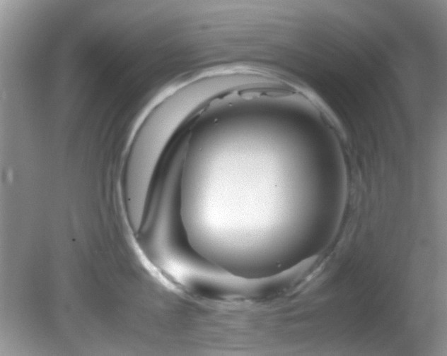 X0000082200813200701270116