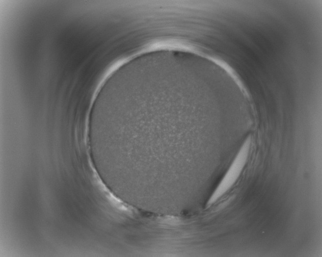 X0000082200815200701270116