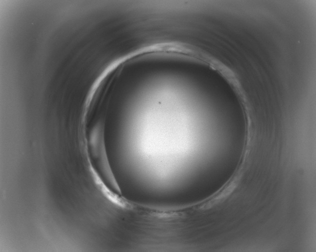 X0000082200816200701270116