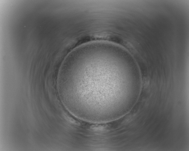 X0000082200817200701270116