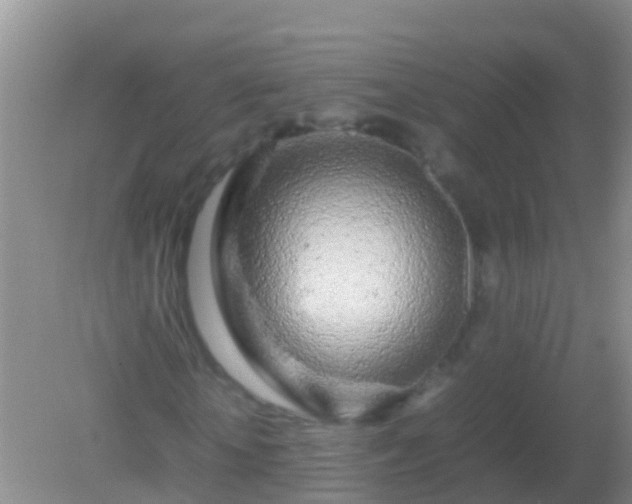 X0000082200818200701270116