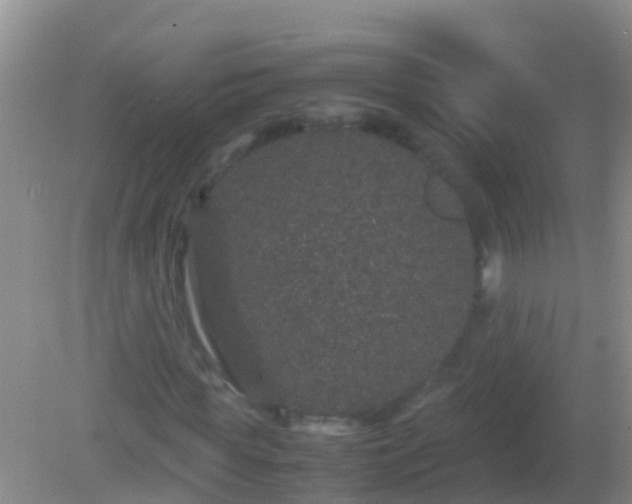 X0000082200819200701270116