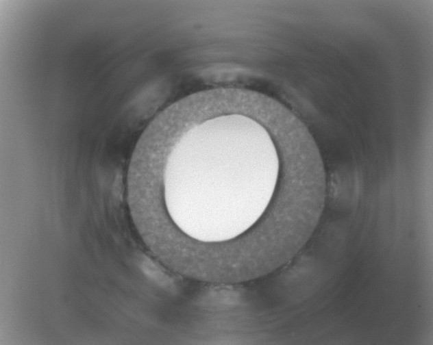 X0000082200820200701270116