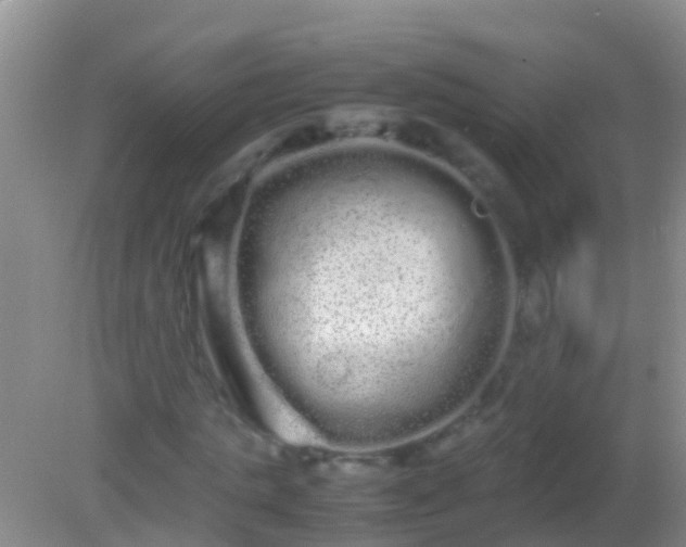 X0000082200821200701270116