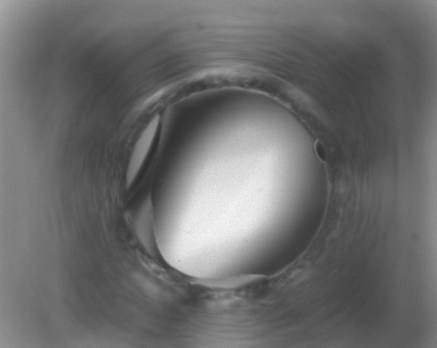 X0000082200822200701270116