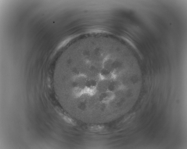 X0000082200823200701270116