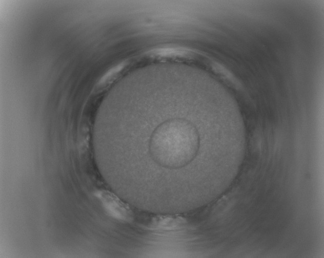 X0000082200824200701270116