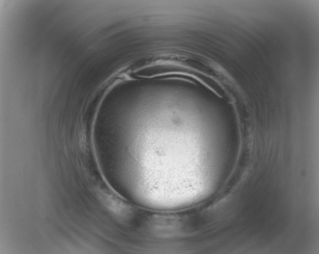 X0000082200825200701270116